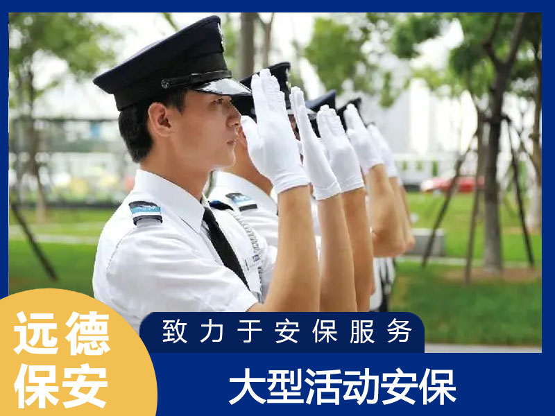 上海青浦大型活动现场安保